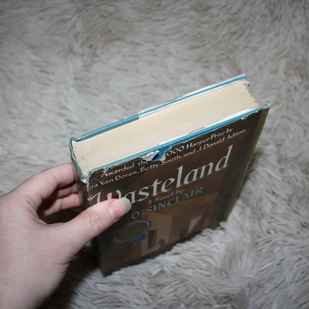 1946 Wasteland Sinclair Vintage book hardcover (Bd)